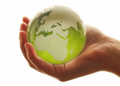 EcoIntelligence sustainability articles, speeches, and interviews.