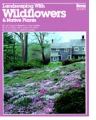 Landscaping With Wildflowers & Native Plants