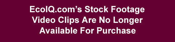 Stock Footage Clips In Big Packages Averaging Less Than $1 Per Clip