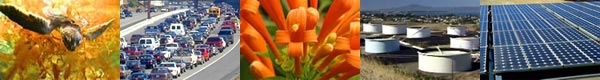 Environmental sustainability photos.