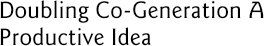 Doubling Co-Generation A Productive Idea