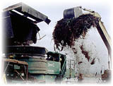 Claw and Grinder