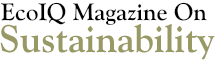 EcoIQ Magazine On Suatainability